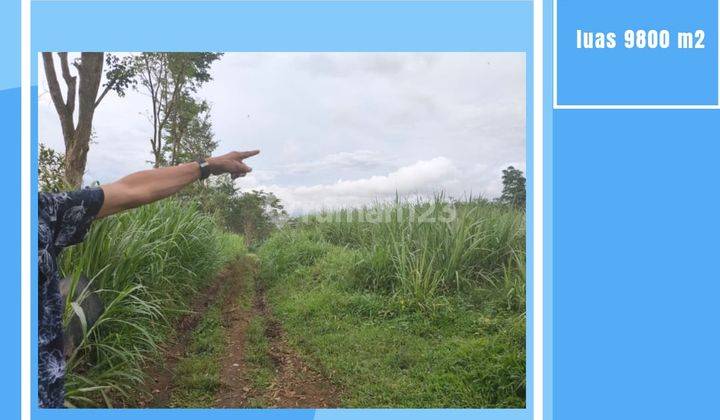 Tanah Luas Siap Bangun Dekat Sekolah di Kota Malang 1