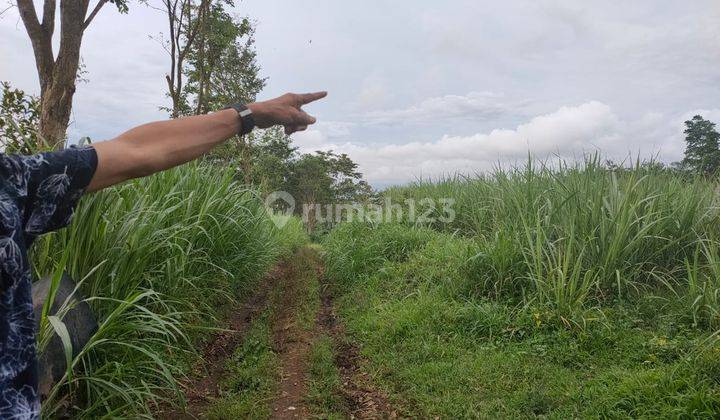 Tanah Luas Siap Bangun Dekat Sekolah di Kota Malang 2