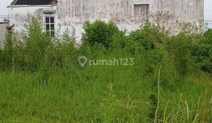  Tanah Luas Akses Mobil View Pegunungan Dekat Museum Satwa Batu 2