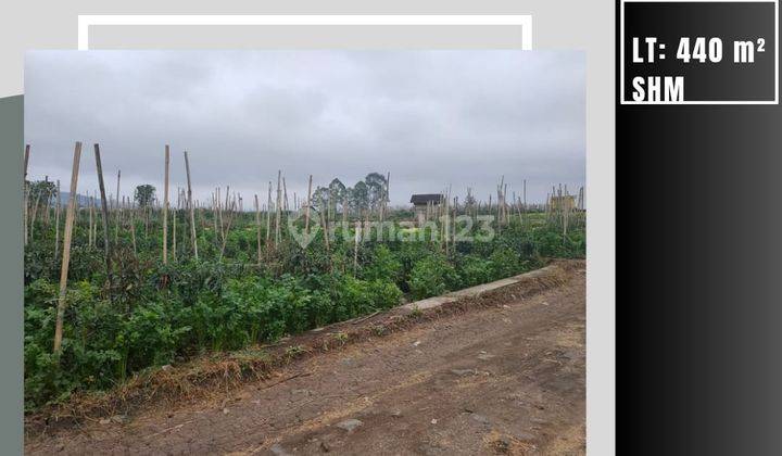 Tanah Sawah Subur View Gunung Asri Sejuk Dekat Balaikota Batu 1