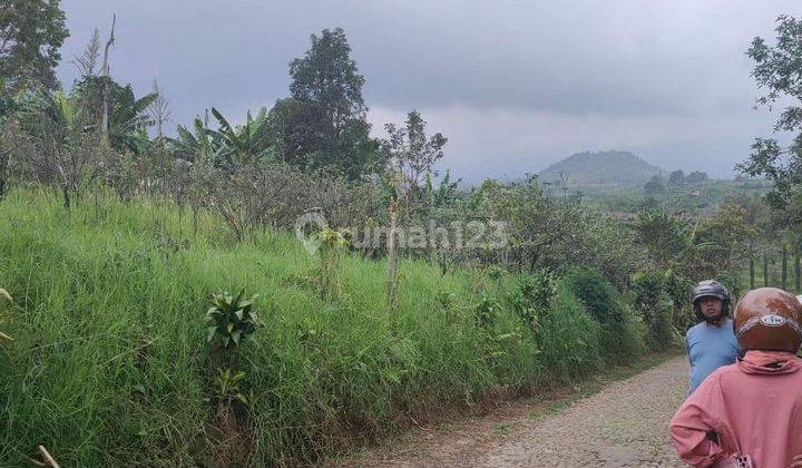 Tanah murah dan subur di Sumbergondo Kota Batu 2