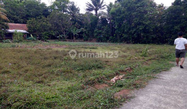 Tanah murah untuk dibangun hunian di Kota Bogor 1