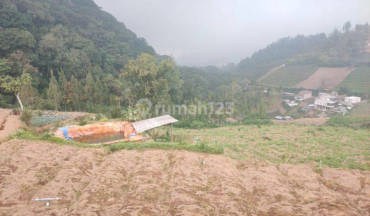 Tanah Bagus Dan Subur Untuk Pertanian Tanam Sayur Di Cangar Batu 2