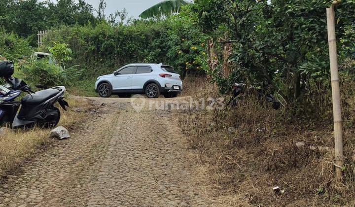 Kebun Jeruk Produktif Subur View Keren Area Bukit Jengkoang Batu 2