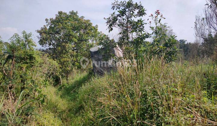 Tanah Luas View Gunung Sejuk Area Bagus Untuk Invest Di Batu 2