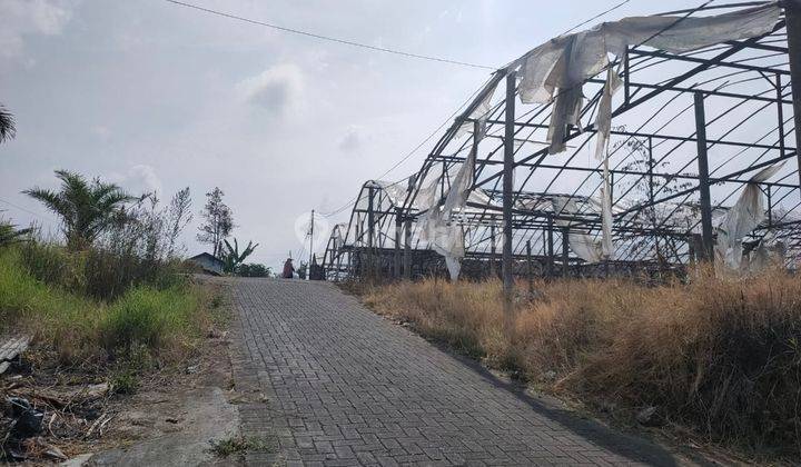 Tanah Subur Untuk Perkebunan View Keren Di Sidomulyo Batu 2