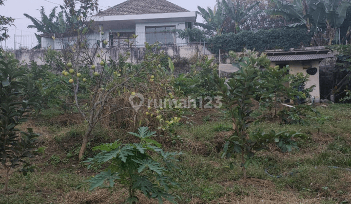 Kebun Buah Produktif Luas Subur View Gunung Arjuna Kota Batu 1