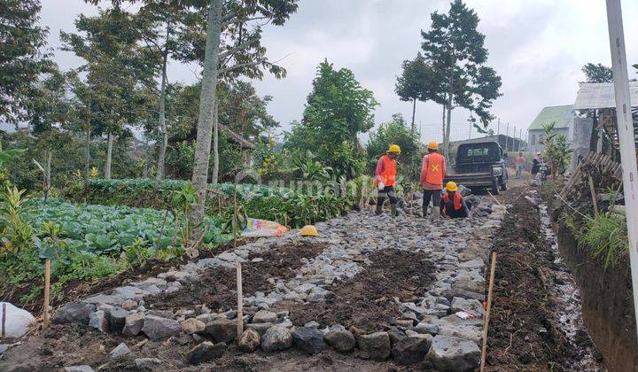 Tanah Subur View Terbaik Area Bagus Harga Termurah Di Kota Batu 2