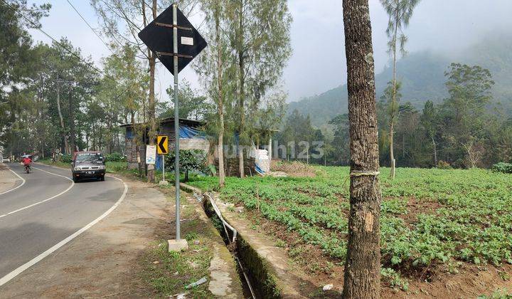 Tanah Super Luas Dataran Tinggi View Citylight Dekat Selecta Batu 2