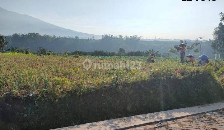 Tanah Sawah Luas Subur View Keren Murah Di Area Pusat Kota Batu 1