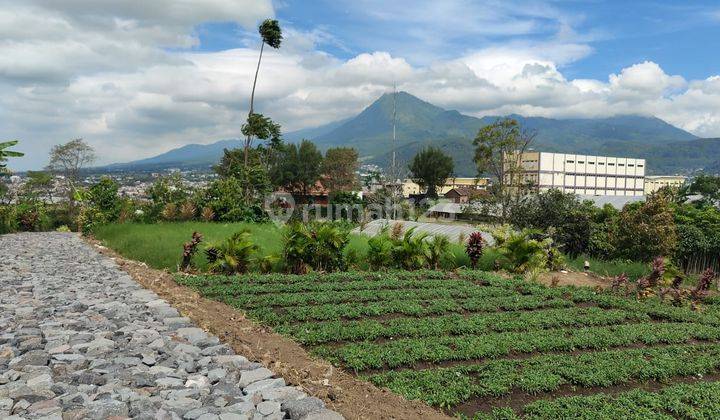 Tanah Bagus Untuk Pertanian Subur Sayur Atau Buah Di Kota Batu 2