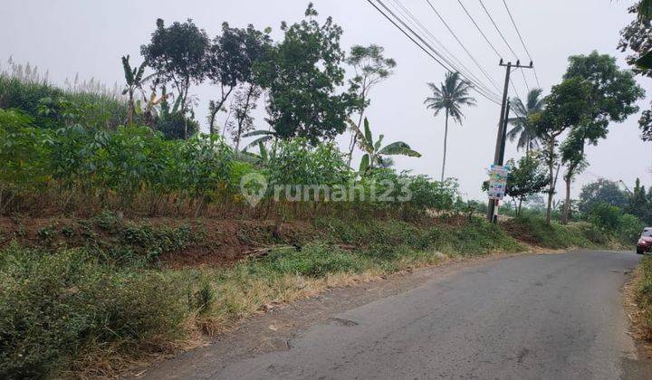 Tanah Poros Jalan Akses Asri Mobil Mudah Dijangkau Di Singosari 1