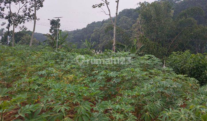 Tanah Poros Jalan Akses Asri Mobil Mudah Dijangkau Di Singosari 2