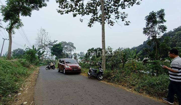 Tanah Kebun Poros Akses Jalan Aspal Harga Termurah Di Singosari 1