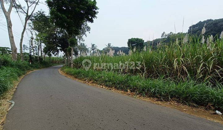 Tanah Kebun Poros Akses Jalan Aspal Harga Termurah Di Singosari 2