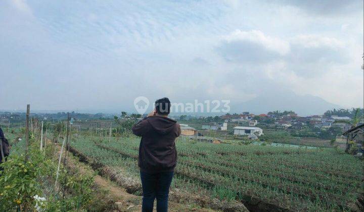 TANAH SAWAH SUBUR HARGA ISTIMEWA DI TORONGREJO KOTA BATU. 1