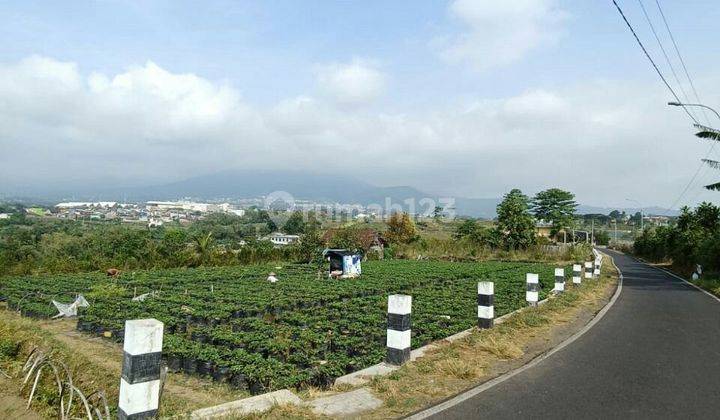 TANAH KEBUN SUBUR HARGA ISTIMEWA DI BUMIAJI KOTA BATU. 2