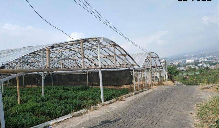 TANAH KEBUN SUBUR HARGA ISTIMEWA DI BUMIAJI KOTA BATU. 1