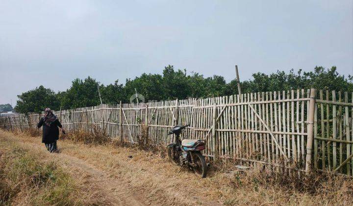 TANAH KEBUN SUBUR HARGA ISTIMEWA DI GIRIPURNO BUMIAJI KOTA BATU. 1