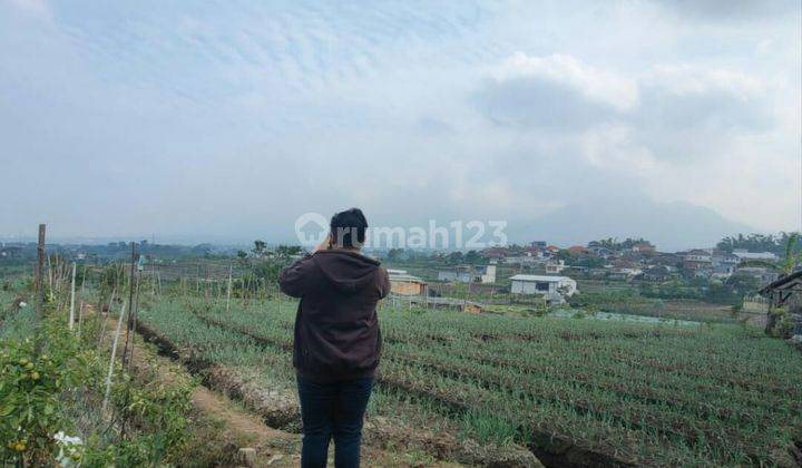 TANAH KEBUN SUBUR HARGA ISTIMEWA DI JUNREJO KOTA BATU.