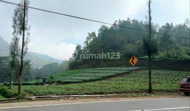 TANAH KEBUN SUBUR HARGA BAGUS DI BUMIAJI KOTA BATU. 1