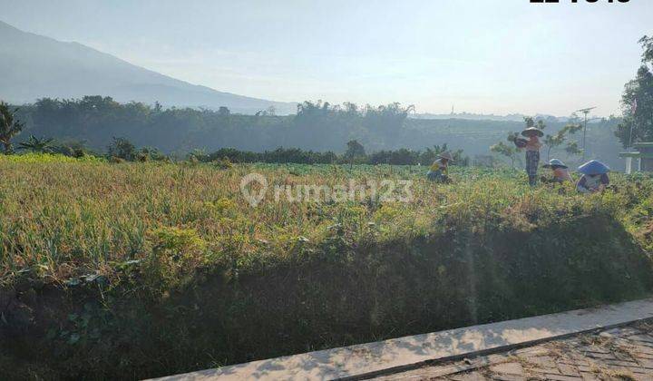 TANAH SAWAH SUBUR HARGA BAGUS DI JUNREJO KOTA BATU. 1