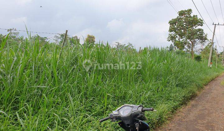 Tanah Produktif Luas Nol Jalan Akses Jalan Kontainer di Pakis Malang 2