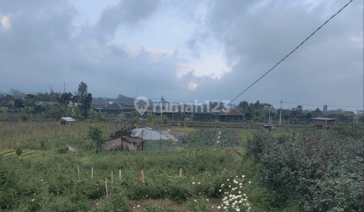 Tanah Luas Subur Murah View Bagus Lokasi di Kota Batu 1