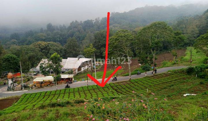 Tanah Luas Murah Kawasan Sejuk Lokasi di Junggo Bumiaji Batu 2