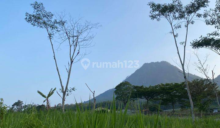 Tanah Murah Kawasan Aman Asri Lokasi di Pusat Kota Batu 2