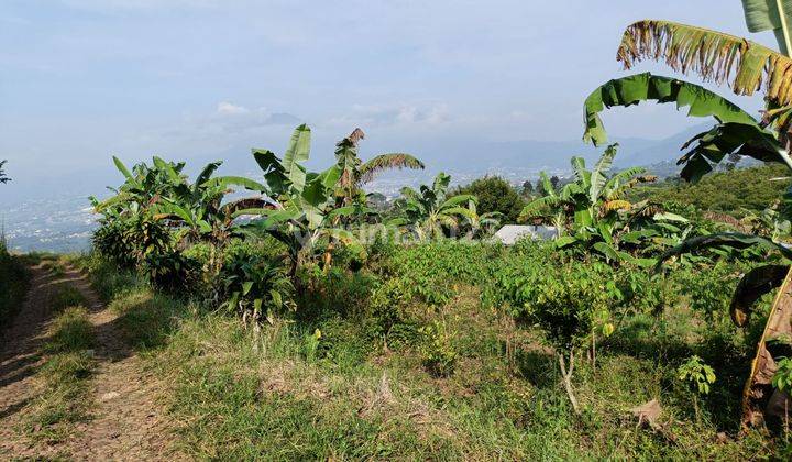 Tanah Luas Super Murah Kawasan Sejuk Lokasi di Bumiaji Batu 2