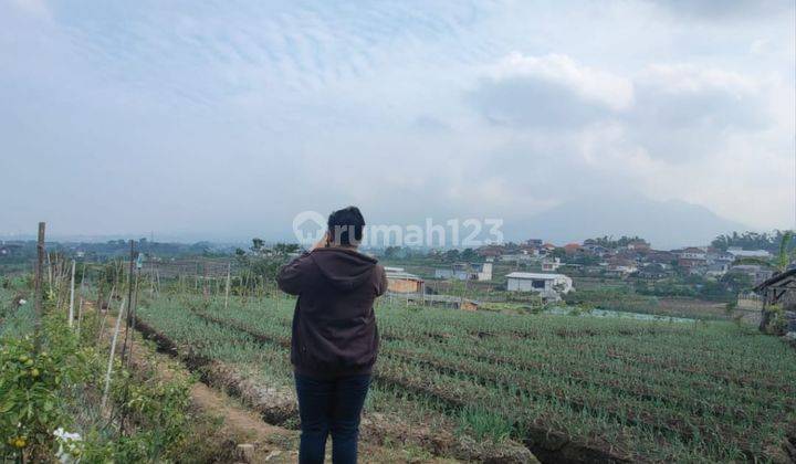 Tanah Murah Luas View Pegunungan Pemandangan Alam di Batu 1