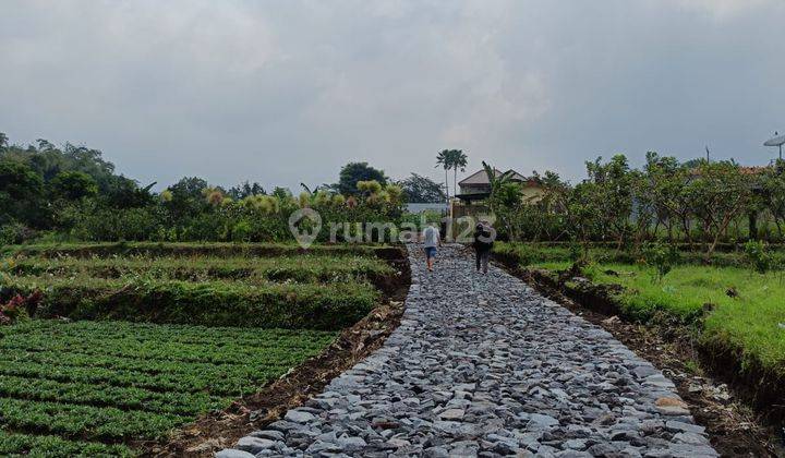 Tanah Subur Murah Cocok Untuk Pertanian Lokasi Strategis di Kota Batu 2