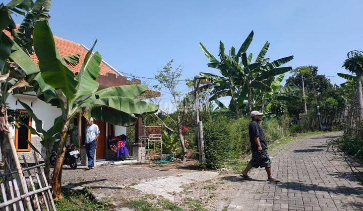 Rumah Nyaman Siap Huni Beserta Kebun Jeruk Lokasi Bumiaji Batu 2