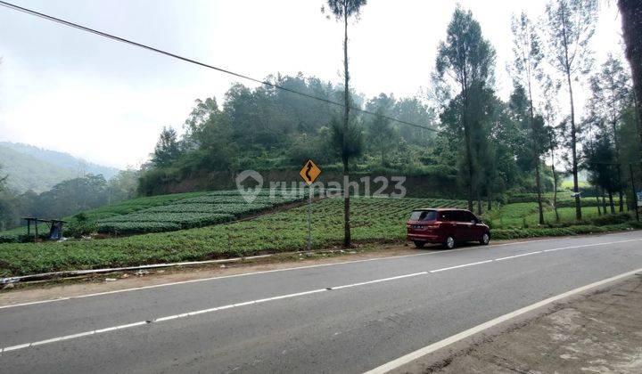 Tanah Luas Siap Bangun Murah Pemandangan Indah di Bumiaji Batu  2