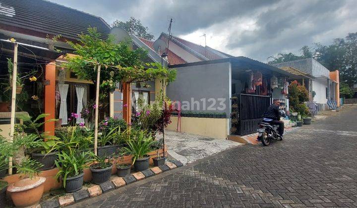 Rumah Siap Huni Strategis Murah Siap Huni di Singosari Malang  2