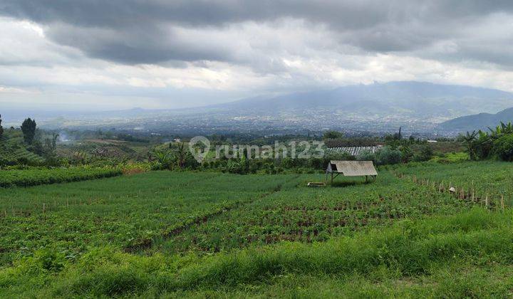 Tanah Murah View 360 Cocok Utk Wahana Selfie Estetik Kota Batu  2