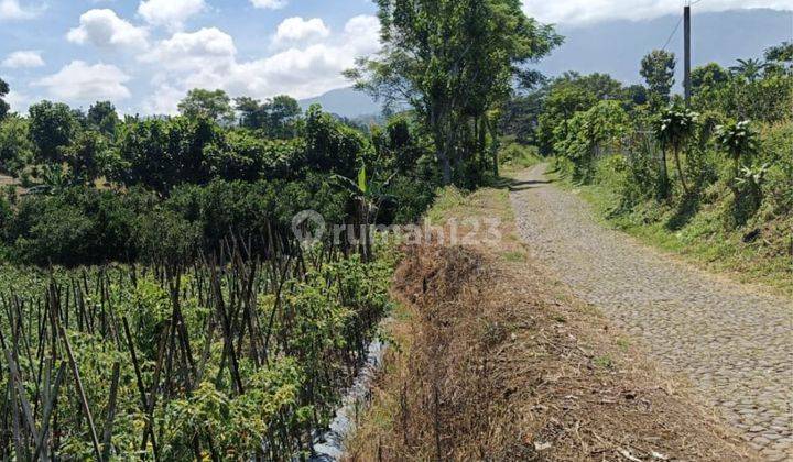 Tanah Pertanian Subur Produktif Akses Mobil di Bumiaji Kota Batu 1