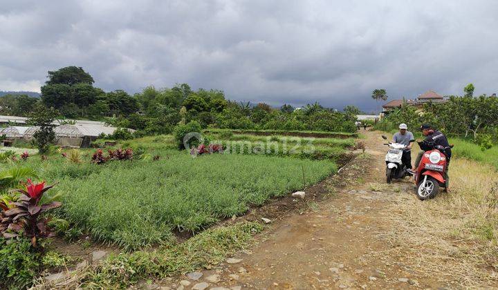 Tanah Perkebunan Murah View Indah Dekat Wisata Petik Apel Batu 2