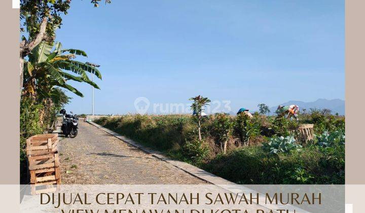 Tanah Sawah Subur Harga Termurah View Kota Batu Mudah Dijangkau 1