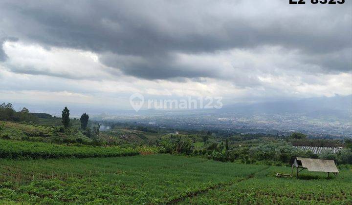 Tanah Murah View 360 Cocok Utk Wahana Selfie Estetik Kota Batu  1