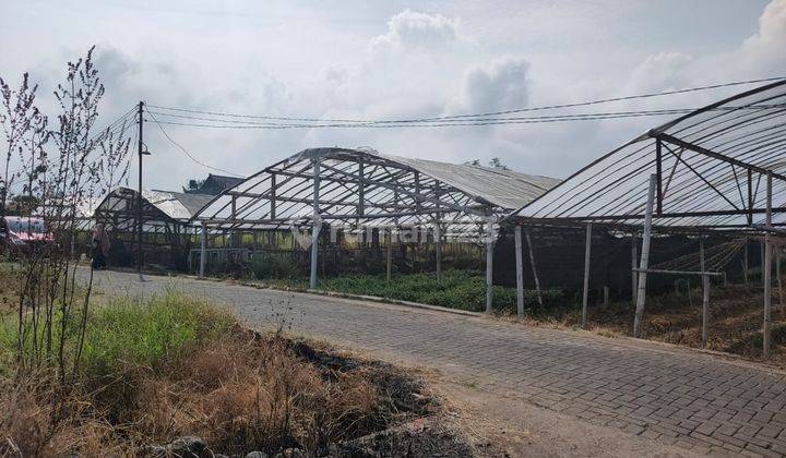 Tanah Belakang Warung Wareg Dan Caf Cocok Utk Homestay Kota Batu 2