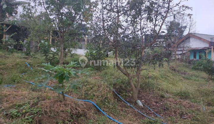 Bu Kebun Subur Utk Sayur Buah Lokasi Mudah Dijangkau Di Kota Batu 2