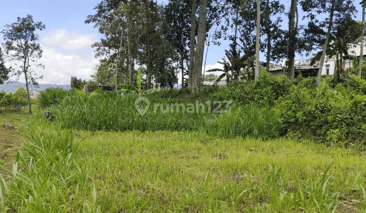 Tanah Subur Untuk Pertanian Atau Dibangun Rumah Vila Kota Batu 1