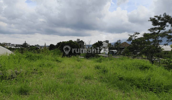 Tanah Luas Subur Bagus Utk Kebun Atau Greenhouse Asri Kota Batu 1