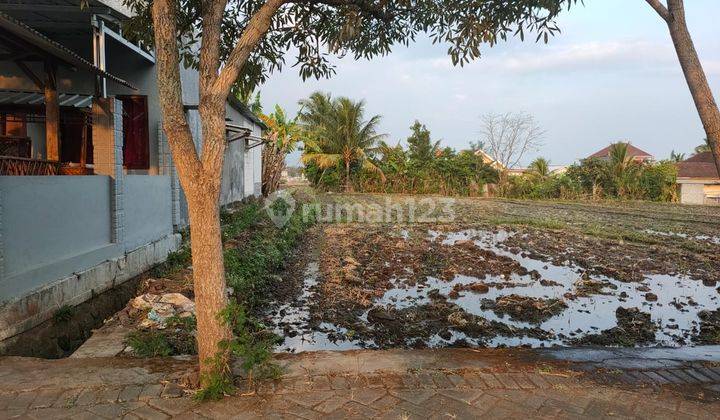 Tanah Sawah Luas Cocok Untuk Cluster di Junrejo Kota Batu  2