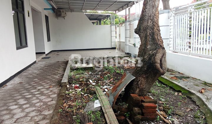 Large House Suitable for Business 2