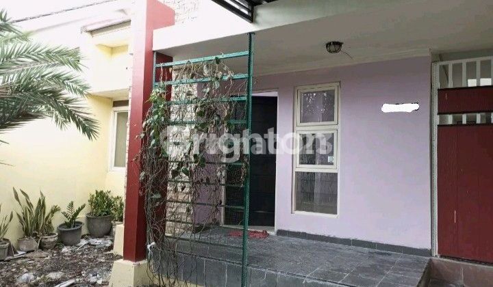 Beside Sidoarjo Toll Road 2