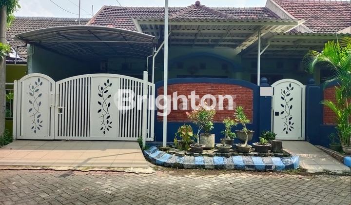 Rumah Besar Harga dibawah pasar Rumah Besar Harga dibawah pasar