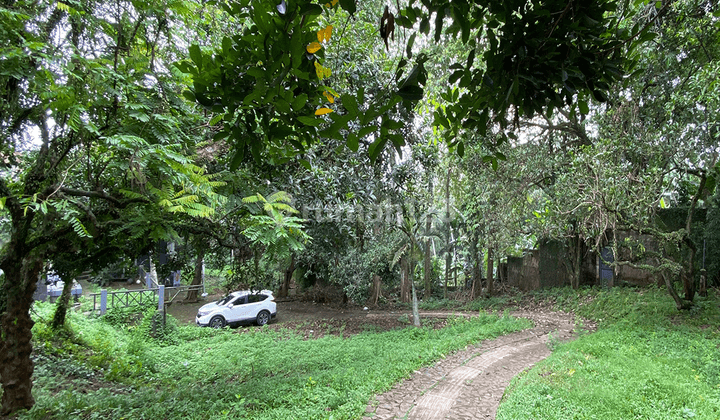 Tanah Cilandak Di Bawah Njop Luas 4431m2 Cocok Buat Cluster